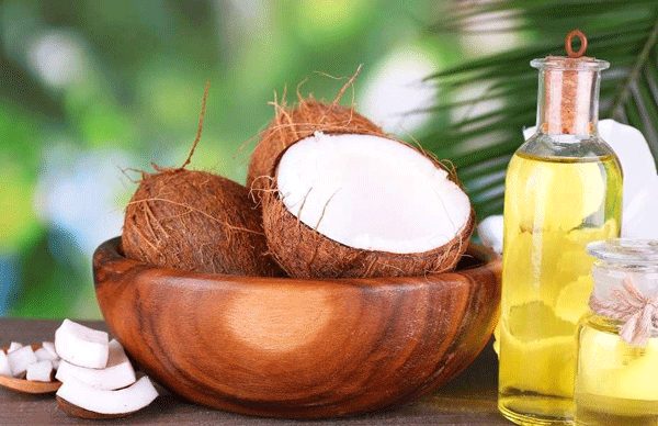 Hubei Xiangyuan Company's guidance in the domestic coconut fruit fermentation technology authority Professor Li Meiqiu Hubei Xiangyuan Company's guidance in the domestic coconut fruit fermentation technology authority Professor Li Meiqiu